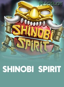 Shinobi Spirit